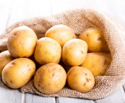 ALERTA! Peste 1000 de tone de cartofi infestati adusi din Egipt in Portul Constanta