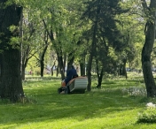Horticultura a început ample acțiuni de cosire în două parcuri importante din Timișoara