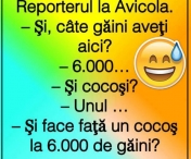 Un cocos si 6000 de gaini :) =) Hahahaha!