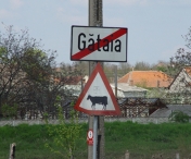 Oraşul Gătaia şi comuna Peciu Nou din Timis intră în scenariul dur de restricţii, după ce au depăşit rata de infectare de 7,5
