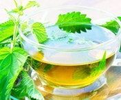 Beneficiile uimitoare ale ceaiului de urzica
