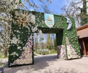 Parcul Primaverii de la Muzeul Satului Banatean ramane deschis inclusiv de Paste. Va fi si slujba de Inviere