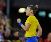Fed Cup 2018: Romania s-a calificat in Grupa Mondiala si REVINE in elita tenisului mondial. Halep a castigat meciul cu Patty Schnyder, in a treia confruntare de la Cluj-Napoca