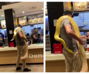 Un bărbat a intrat într-un fast-food din România cu un piton uriaş la gât