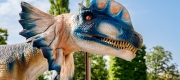 Minivacanță la Iulius Town: Expoziția Dinozaurilor și Plantelor Carnivore, spectacole interactive la MINA și teatru pentru copii