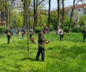 136 de muncitori au fost mobilizați, miercuri, pentru a tăia iarba din spațiile verzi din oraș