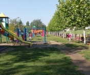 Ritivoiu avertizeaza Primaria Timisoara sa curete parcurile