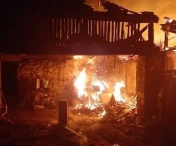 150 de pasari au murit intr-un incendiu din Timis. Pompierii au reusit sa salveze 4 pisici 