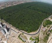 Primăria Timișoara va transforma Pădurea Verde într-un parc modern și accesibil: contractul de proiectare a fost semnat