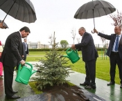 IMAGINEA ZILEI: Presedintele Turkmenistanului si cel al Belarusului uda un copac sub umbrele, in timp ce afara ploua