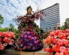 Florall_1_