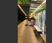 SCENE FIERBINTI la metrou! Doi tineri s-au incins la maxim si au facut amor in vazul tuturor! VIDEO +18