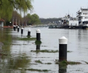 PERICOL DE INUNDATII: Dunarea, peste cotele de inundatii la sapte statii