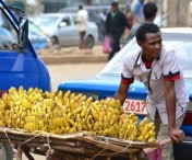 Oamenii de stiinta au creat un tip de banana care ar putea salva mii de vieti in fiecare an