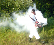 Primăria Timișoara continuă seria tratamentelor de dezinsecție pentru combaterea ţânţarilor în oraș