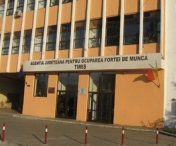 AJOFM Timiș îți oferă sprijinul absolvenților de liceu și studii superioare 