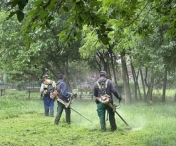 Ample acțiuni de îngrijire a spațiilor verzi în toate cartierele din Timișoara