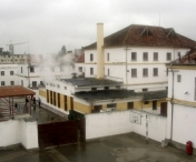 Ferma de vaci in valoare de 2 milioane de euro la Penitenciarul Timisoara