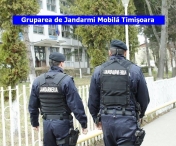 Gestul facut de un sofer dupa o bataie in trafic la Timisoara! A fost "umflat" de jandarmi