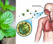 Remediul NATURAL care iti curata plamanii de Gudron si Nicotina