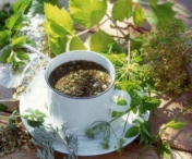 6 ceaiuri antiasmatice