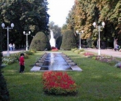 Primaria demareaza ample actiuni fitosanitare in parcurile din Timisoara