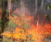 Un avion s-a prabusit in timp ce intervenea la stingerea unui incendiu de vegetatie din Portugalia