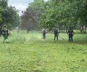 Zonele verzi ale Timișoarei, incluse într-un program de intervenții pentru îngrijire