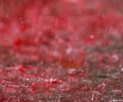 Cele mai ciudate fenomene meteorologice din lume - Ploaia cu sange sau grindina de aproape 1 kg