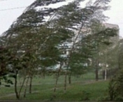 Meteorologii au emis astăzi, 26 iunie, cod galben de vânt puternic valabil în mai multe localități din Banat 