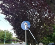 Copacii au fost toaletati in Timisoara, iar indicatoarele rutiere au o mai mare vizibilitate 