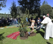 Papa Francisc a ordonat crearea unui parc agrovoltaic în apropiere de Roma