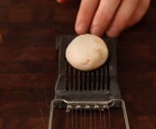 VIDEO FABULOS - Ce se intampla daca pui o ciuperca Champignon pe feliatorul de oua
