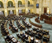 Proiect important in Senat. Se modifica legea pentru alegerea presedintelui Romaniei, dupa ce Klaus Iohannis si-a anuntat candidatura pentru un nou mandat