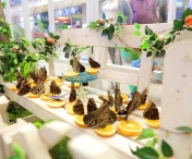 Expoziție cu 150 fluturi exotici și activități interactive pentru copii, la Iulius Town