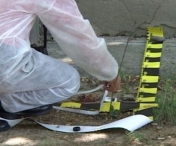 Un cadavru in descompunere a fost descoperit in Dumbravita