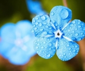  Vremea va fi răcoroasă astăzi atât în Banat, cât și în Crișana