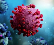 Noua subvarianta a coronavirusului vine din India si este de 5 ori mai infectioasa
