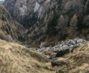 O tânără a fost atacată de un urs pe traseul Jepii Mici, în apropiere de Valea Spumoasă