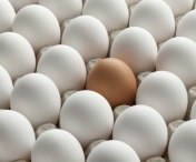 Nu toate ouale sunt la fel. Iata cum le recunosti pe cele care contin mai multi acizi Omega3