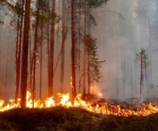 Sute de incendii se manifesta violent in Siberia. Autoritatile vor folosi tehnica „insamantarii norilor” pentru a combate flacarile