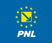 Alegeri reluate la PNL Timisoara, in 31 iulie. Sanctiuni pentru Ambrus si Cocean, BPJ cere suspendarea deputatului Chira
