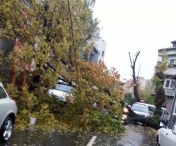 Furtuna a facut prapad si in Hunedoara