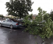 Vremea rea a facut ravagii in toata tara! Zeci de arbori au cazut pe masini si carosabil, imobile, curti si subsoluri inundate