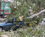 Furtuna devastatoare la Galati! 22 de persoane, transportate la spital cu traumatisme! Sute de copaci, cazuti peste case, masini ori retele electrice