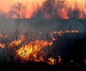 Un oficial grec sustine ca incendiile de vegetatie ar fi fost puse intentionat