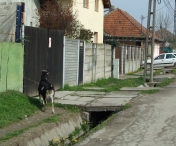 Primaria Timisoara vrea sa reabiliteze 13 strazi din zona Kuncz