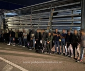 Zeci de cetateni turci, prinsi in timp ce incercau sa treaca ilegal frontiera de vest, ascunsi intr-un camion
