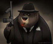 Presedintele CJ Harghita considera ca exista o mafie a ursilor