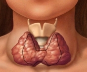 Ce analize se fac pentru tiroida?
